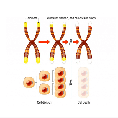 What Can HBOT Treat?